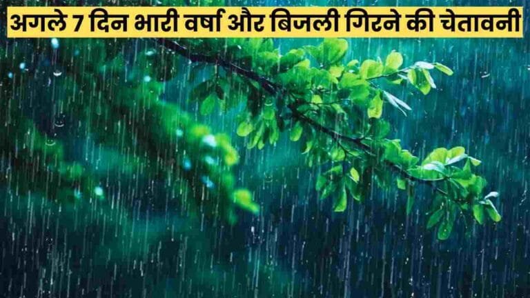 weather forecast
