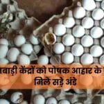 rotten eggs