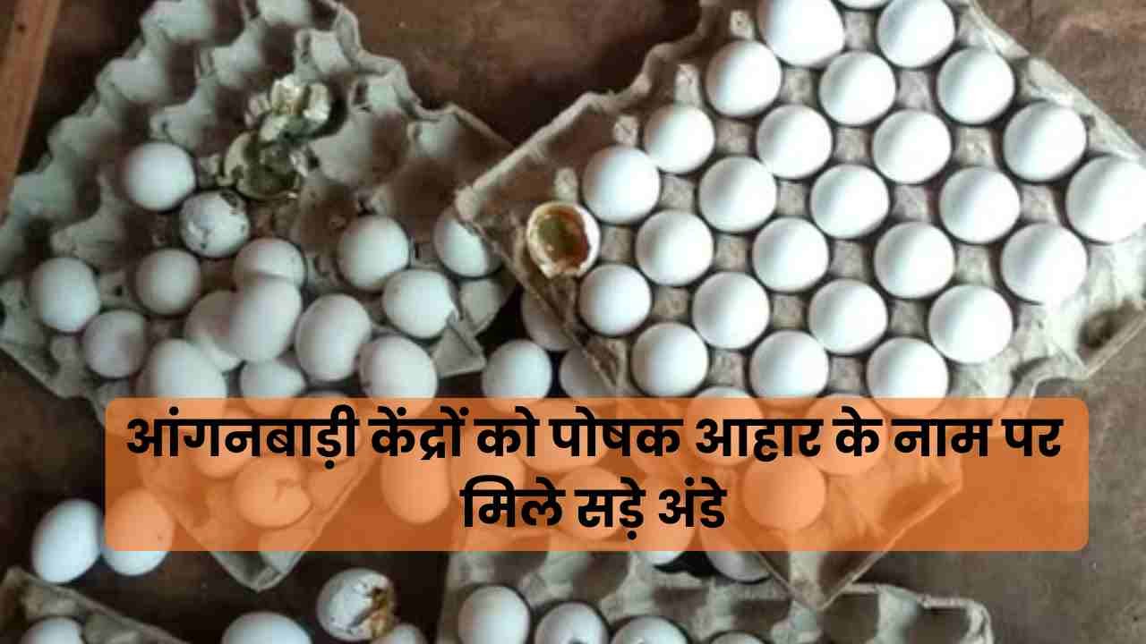 भारत की पोषण योजना: आंगनबाड़ी में सड़े अंडे पहुंचने से गुणवत्ता पर उठे सवाल? Raipur Anganwadi Scheme Questioned news image